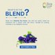 thumbnail image 2 of Tea Leaf & Co. Té de hierbas de guisante mariposa 100 g 50 bolsas, 2 of 7