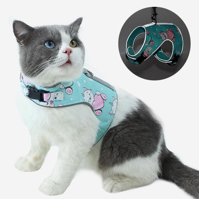 Wonder Cat Arnes Para Gato Con Correa - Large