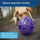 thumbnail image 4 of Juguete para perros PetSafe Busy Buddy Kibble Nibble Slow Feeder, 4 of 6