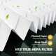 thumbnail image 5 of Filtro de repuesto HEPA isinlive TP01 compatible con Dyson TP01, 5 of 9