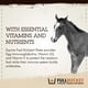 thumbnail image 3 of Health Foal Kick Start Inmunidad 80 Ml, 3 of 7