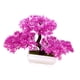 thumbnail image 2 of Árbol De Bonsái Artificial, Plantas Falsas Decorativas En Maceta Para El Hogar, Granja, Escritorio, Color Rosa, 2 of 3