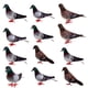 thumbnail image 3 of 12 x falsas plumas artificiales de espuma palomas aves boda decoración adorno lugar, 3 of 5