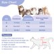 thumbnail image 2 of Traje de Recuperación para Gatos Unique Bargains Suave y Transpirable Traje de Cirugía para Gatos Mono para Gatos Después de Cirugías Previene el Lamido de Heridas S Rosa, 2 of 7