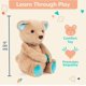 thumbnail image 4 of Oso de peluche B. toys B. softies-12 Cara-Mellow Happy Hues, 4 of 6