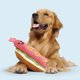 thumbnail image 2 of Juguete Para Perro Wassup Dog Peluche Chirriante Y Crujiente Grande, 2 of 3