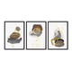 thumbnail image 1 of Set de Cuadros Abstracto Piedras Doradas con Marco Negro, 1 of 1