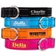 thumbnail image 1 of Collar para perro PAWBLEFY de nailon reflectante personalizado con nombre, 1 of 7
