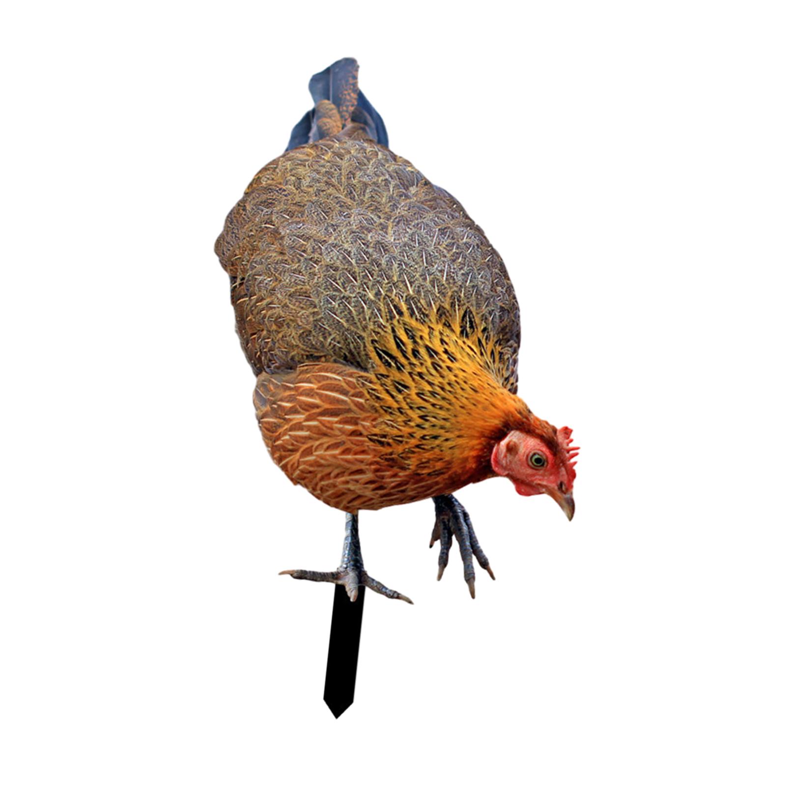 Magideal - Espejo De Gallo De Jardín, Decoración Vívida, Escultura De Jardín Resistente A La Intemperie, Figura De Animal, Postes Estables, Escultura De Pollo Re A