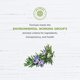 thumbnail image 4 of Crema hidratante en gel Avalon Organics con vitamina C, 50 ml, 4 of 5