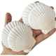 thumbnail image 1 of Conchas marinas para manualidades QICQDRAM, vieira blanca de 2 a 3 pulgadas, 25 unidades, 1 of 7