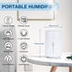 thumbnail image 2 of Humidificador Riecin Portable Mini USB Cool Mist de 300 ml con luz, 2 of 9