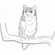 thumbnail image 1 of Decomural Wise Owl Woodland Animals WS-32448, 1 of 2