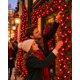 thumbnail image 1 of Pack 2 Luces Lineal 500 LED Lineal 32 Metros Navidad, 1 of 8