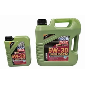 Aceite Motor 5W 30 Liqui Moly Sintetico Molygen Dpf 5L