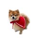 thumbnail image 1 of Capa para Mascota Navidad, 1 of 1