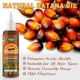 thumbnail image 2 of Aceite de batana 100% puro para el crecimiento del cabello, 120 ml - Lockmio, 2 of 3