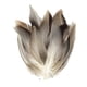 thumbnail image 5 of 50 Uds. de plumas para atado de moscas, plumas para atado de moscas, Material de cola de ala, proveedor de atado de moscas para decoración, sombrero d, 5 of 5