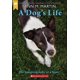 thumbnail image 1 of Turtleback – La vida de un perro: autobiografía, 1 of 1