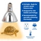 thumbnail image 3 of Lámpara de calor halógena Pangea 50W para reptiles - UVA e infrarrojos, 3 of 7
