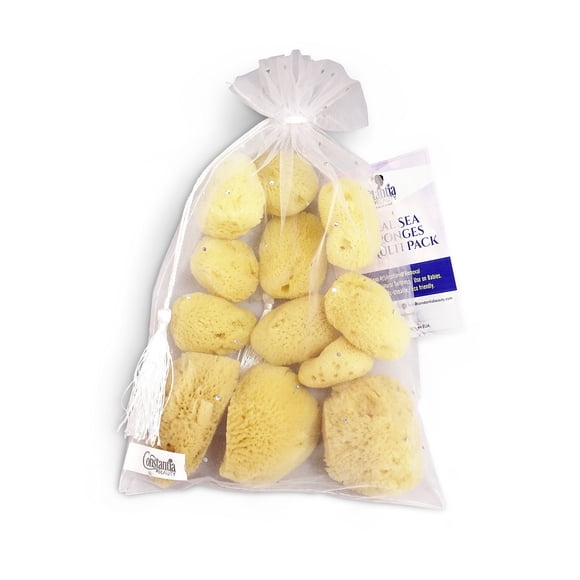 Esponjas Sea Silk Constantia Beauty, paquete de 12 unidades, para uso cosmético