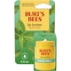 thumbnail image 1 of Crema labial Burt's Bees Sweet Mint de 15 ml que repara los labios secos, 1 of 9