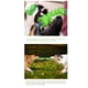 thumbnail image 5 of Juguete Para Morder Jugar De Goma Doble Para Perros, 5 of 7