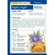 thumbnail image 3 of Té de hierbas Traditional Medicinals Nighty Night, paquete de 2 unidades, 25 ml, 3 of 9