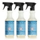 thumbnail image 1 of Spray limpiador multiusos MRS. MEYER'S CLEAN DAY Rain 480 ml x 3, 1 of 3