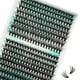 thumbnail image 1 of Grupos de extensiones de pestañas, 320 unidades, 30 D, 40 D, Wispy Natural, 1 of 3