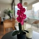 thumbnail image 2 of Planta artificial Orquidea 40 cm, 2 of 2