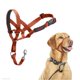 thumbnail image 1 of Collar de entrenamiento Halti para perro, talla 3, naranja quemado, 1 of 4