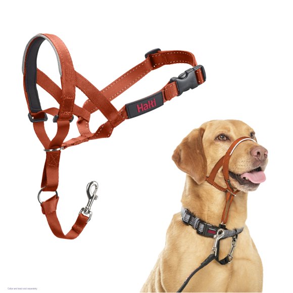 Collar de entrenamiento Halti para perro, talla 3, naranja quemado