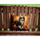 thumbnail image 2 of Almohada Decorativa Sheltie Fall 35x35 Cm, 2 of 6