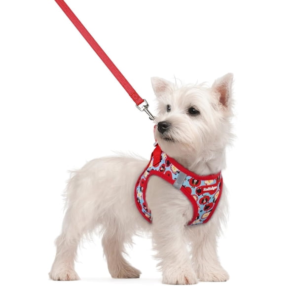 Arnés para perro rabbitgoo Stepin Talle S QuickDry con correa de 5,12 ft