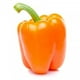 thumbnail image 1 of Pimiento Naranjo, 1 un, 1 of 2