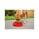thumbnail image 2 of Plato Alimentación Lenta Hey! Rojo 22x22x7 cm Perros, 2 of 6