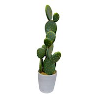 Genérico - Planta Artificial Decorativa Cactus Opuntia Realista Jhn