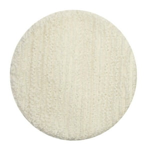 Bissell - Capó De Alfombra Biggreen Commercial Para Bgem9000