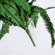thumbnail image 3 of Juego de helechos artificiales de Boston casi naturales, 48 pulgadas (122 cm), 2 piezas, 3 of 6