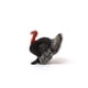 thumbnail image 5 of Figura de juguete Schleich Farm World Turkey Farm Animal para niños, 5 of 6