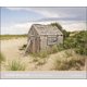 thumbnail image 1 of Libro SCHIFFER PUBLISHING LTD – Cabañas de Dunas de Provincetown, 1 of 1