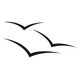 thumbnail image 1 of Decomural Seagulls Birds Animals WS-15403, 1 of 2