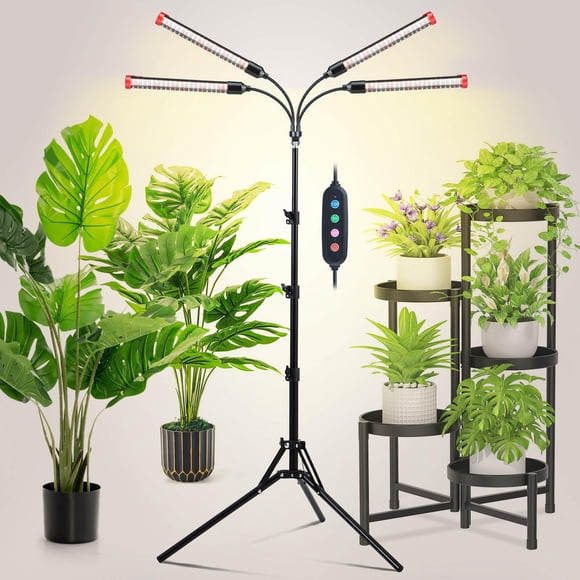 Grow Light JINHONGTO con soporte y temporizador de 36 W para bonsái