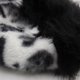 thumbnail image 2 of Gorro Ruso Mujer Peludo Animal Print Invierno Suave Abrigado negro Talla Única, 2 of 5