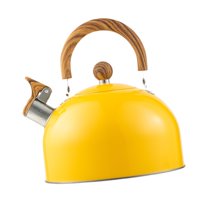 Bothyi - Hervidor De Agua Silbante Moderno De 2,5 L Para Cocinar, Ideal Para Acampar, Pescar Y Usar En Interiores.