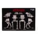 thumbnail image 5 of Kit de modelo MPC Star Wars Return of the Jedi AT-ST Walker, 5 of 9