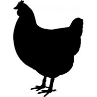 Rienda Libre Graphics - Decomural Chicken Farm Animals Pack Ws-33069