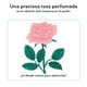 thumbnail image 3 of Primeros Descubrimientos - El Jardín, 3 of 7
