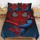 thumbnail image 2 of Spidey 3 Piece Sets Full/Queen Size - Reversible Microfiber Quilts with 2 Shams Soft Lightweight Bedspread Coverlet Comforter for All Season Bed Sheets, 2 of 5